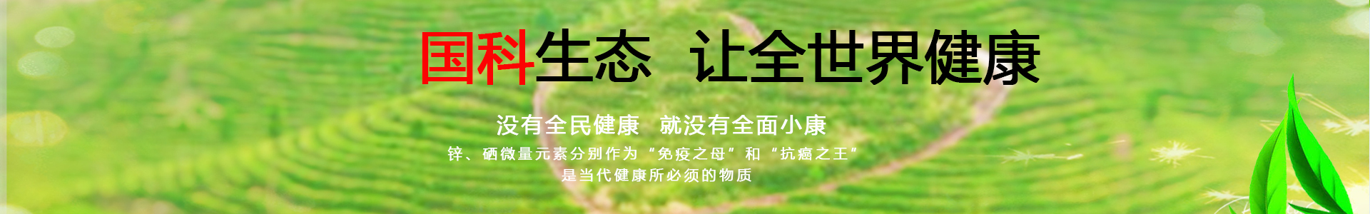 行业新闻