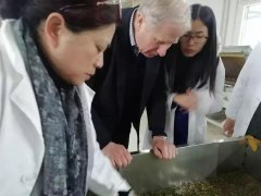<b>国际茶叶委员会主席伊恩·吉布斯-我爱贵州茶</b>
