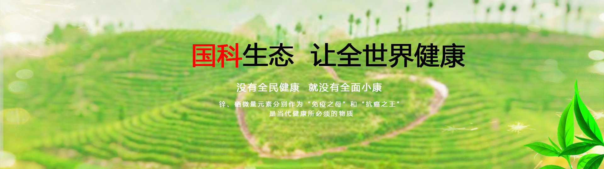 国科生态农业发展集团有限公司